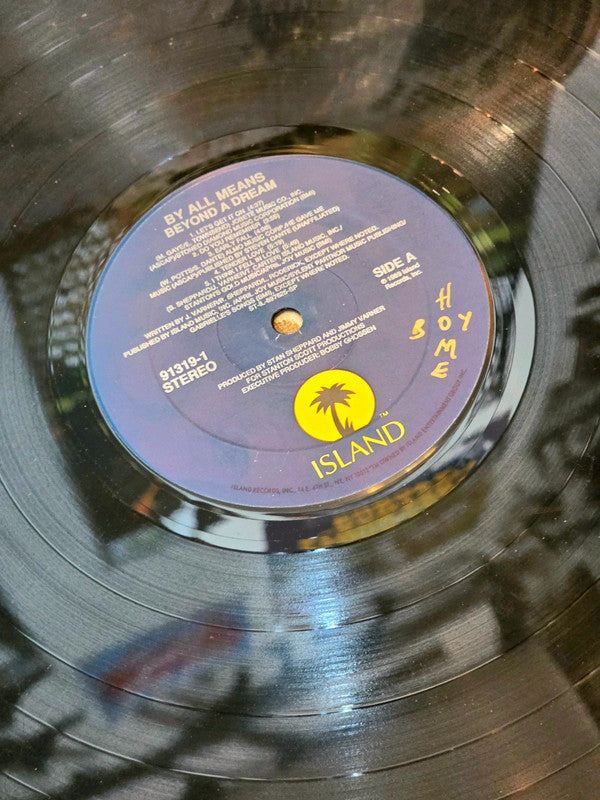 By All Means – Beyond A Dream Vinyl Record