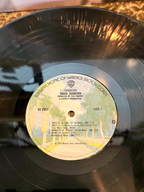 David Sanborn – Sanborn Vinyl Record
