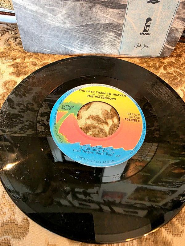 The Waterboys – A Girl Called Johnny Vinyl Record