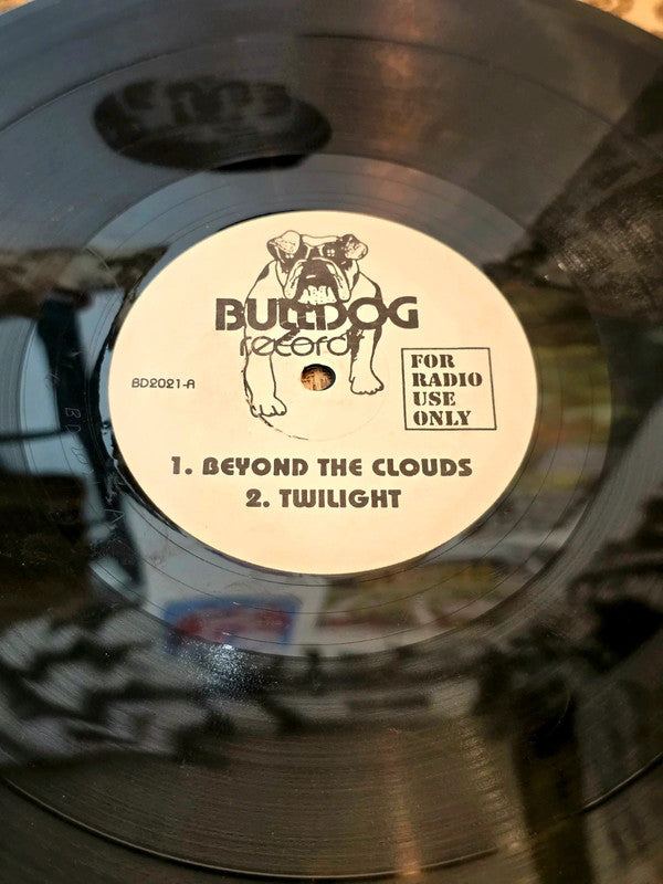 Quartz / Maze / Newcleus – Beyond The Clouds / Jam On It Vinyl Record