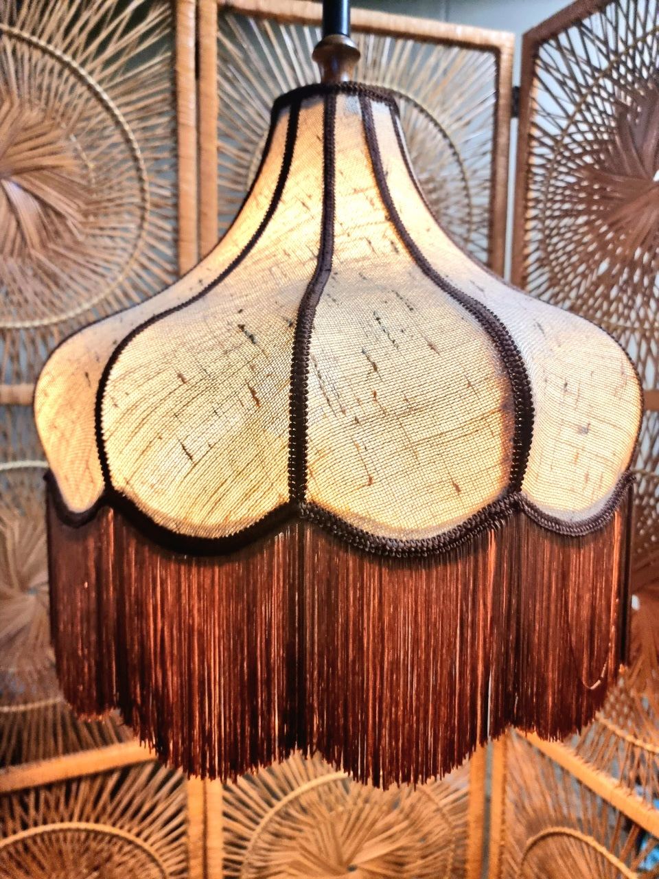 Vintage 60s / 70s Adjustable Fringe Ceiling Lamp Hanglamp