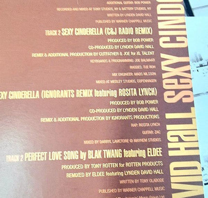 Lynden David Hall – Sexy Cinderella - Vinyl Record