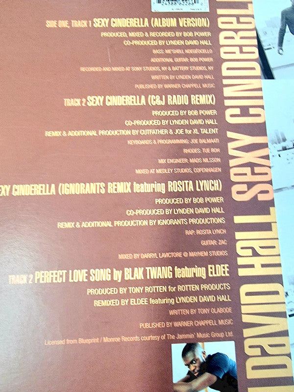 Lynden David Hall – Sexy Cinderella - Vinyl Record