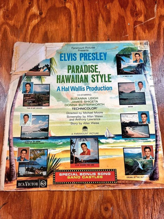 Elvis Presley Paradise Hawaiian Style 英盤 Amazon.com: Paradise, Hawaiian Style - Elvis Presley [DVD
