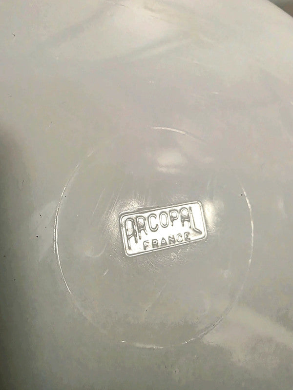 Brand new 70s Arcopal Fruits de France oval baking dish