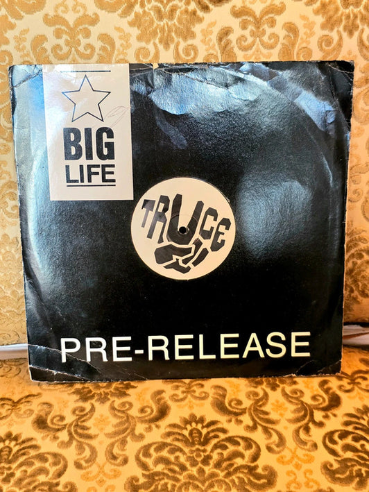 Truce – Celebration Of Life Vinyl Record