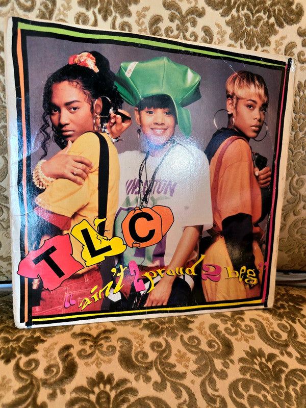 TLC – Ain't 2 Proud 2 Beg Vinyl Record