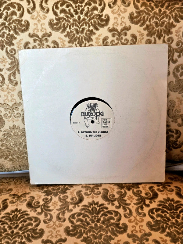 Quartz / Maze / Newcleus – Beyond The Clouds / Jam On It Vinyl Record