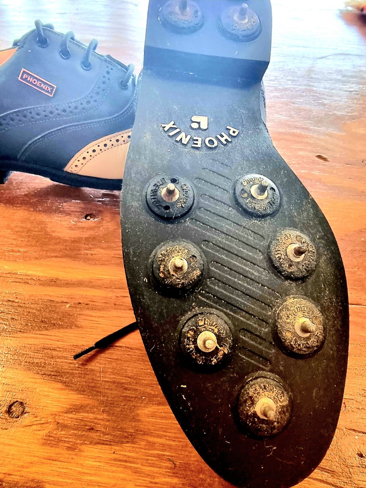 Vintage Phoenix Golf Shoes