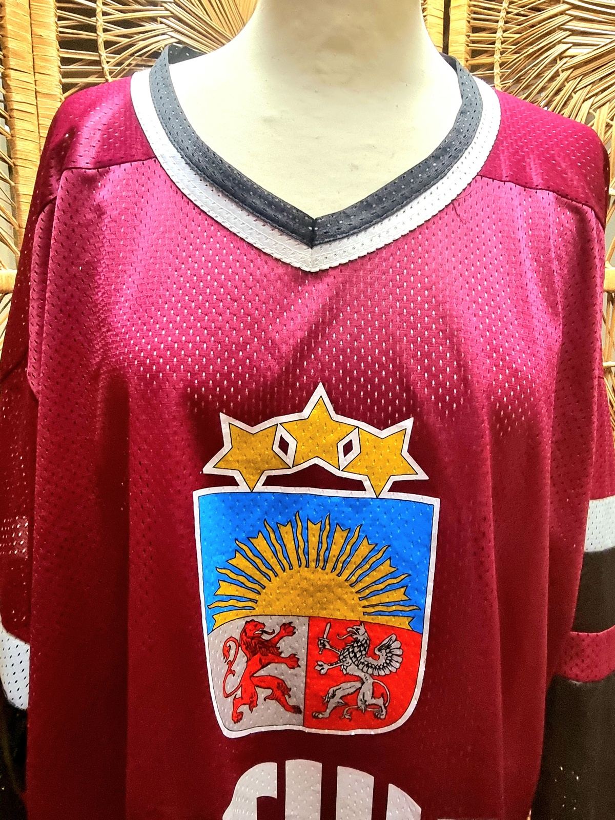 Vintage RAE Sport Latvija Latvia Hockey Jersey