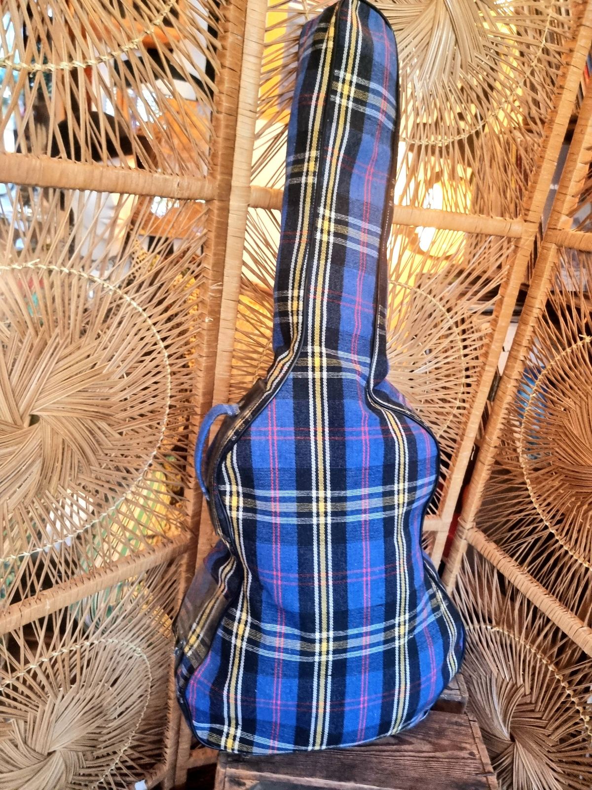 Guitar bag