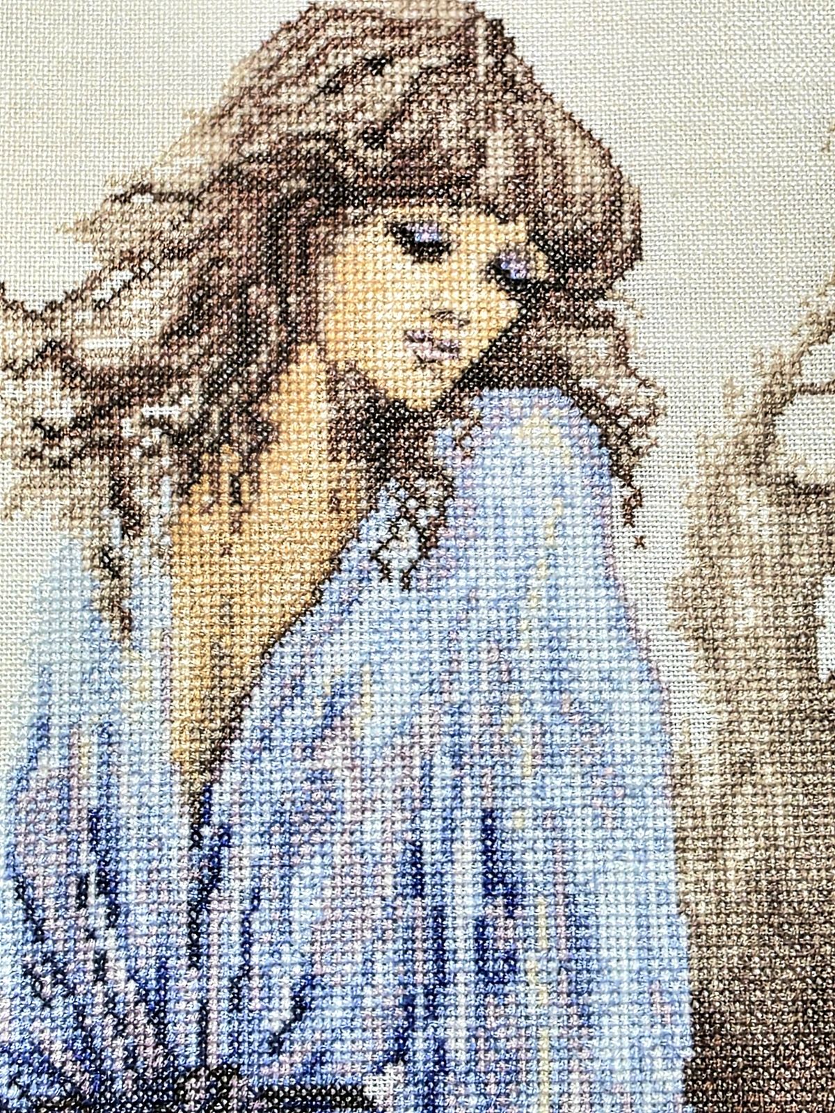 YV6538