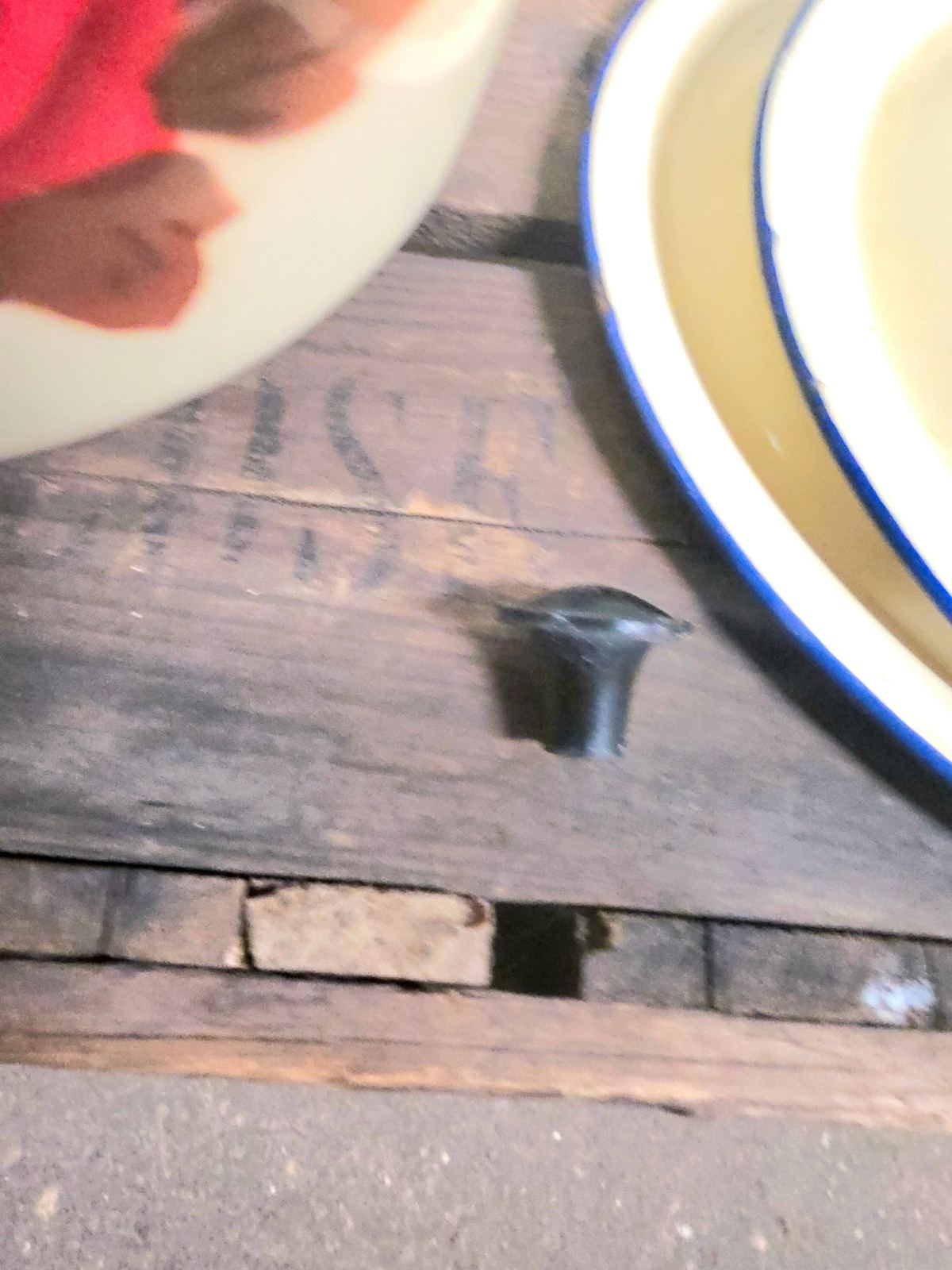 Set of 3 Bowls