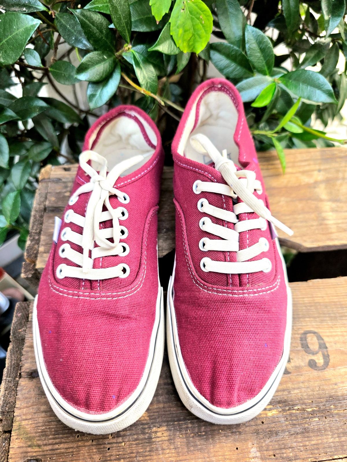 Vans Lace Up Shoes