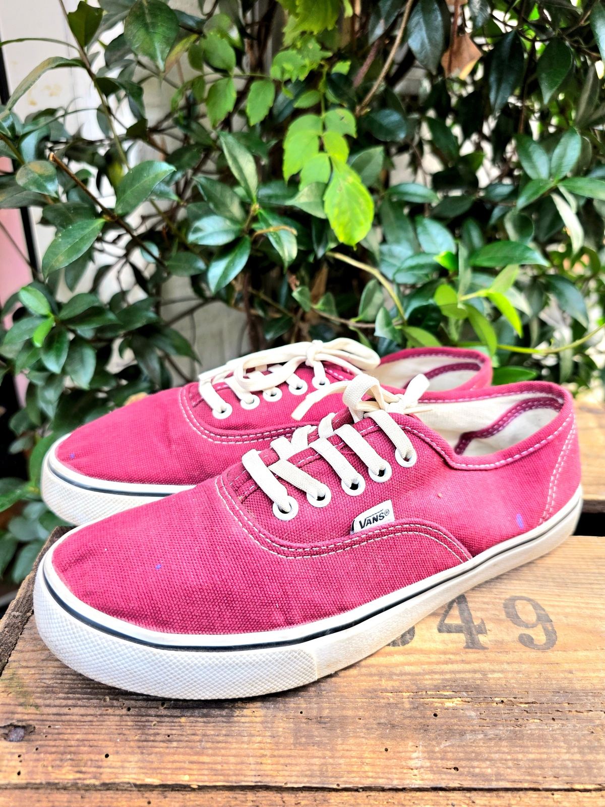 Vans Lace Up Shoes
