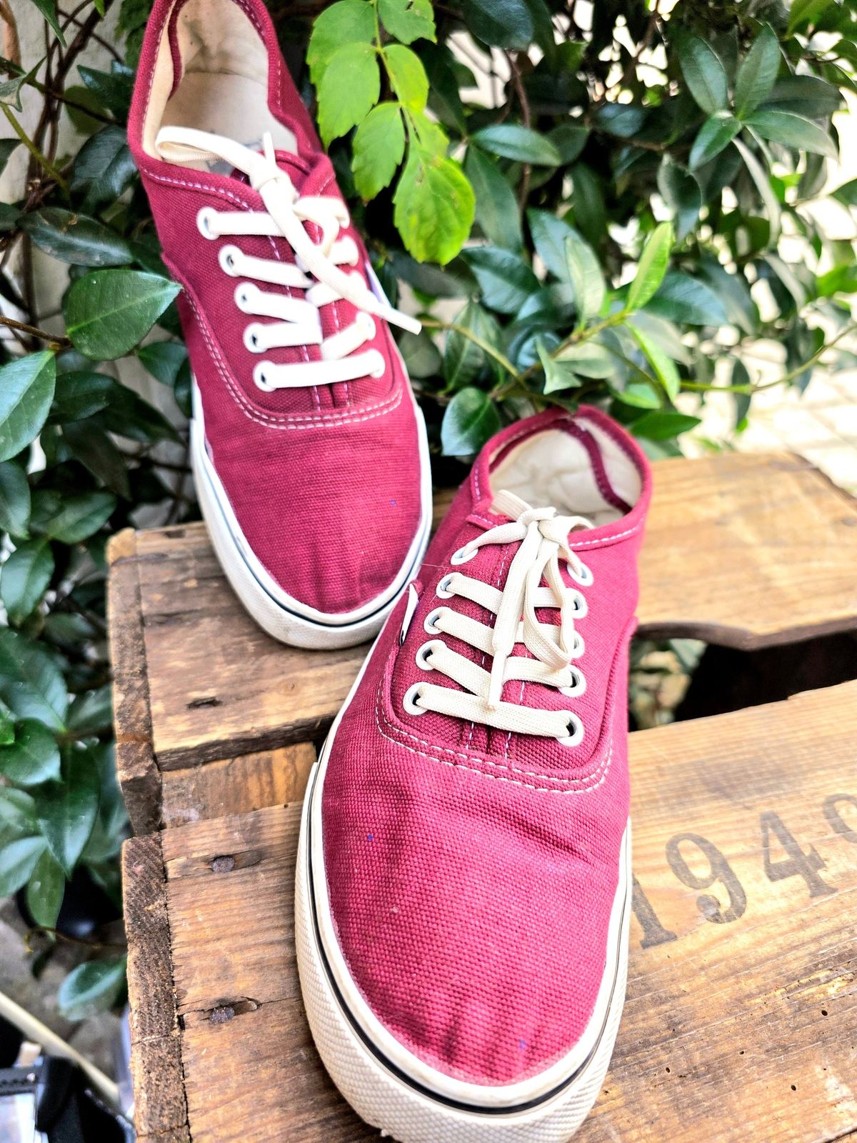 Vans Lace Up Shoes