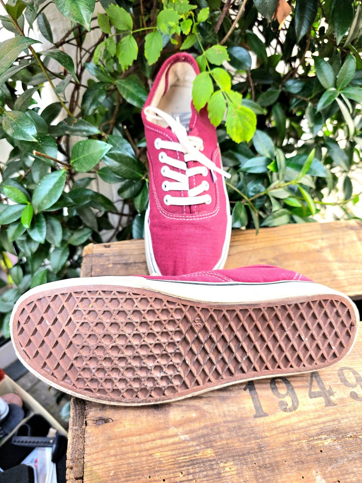 Vans Lace Up Shoes