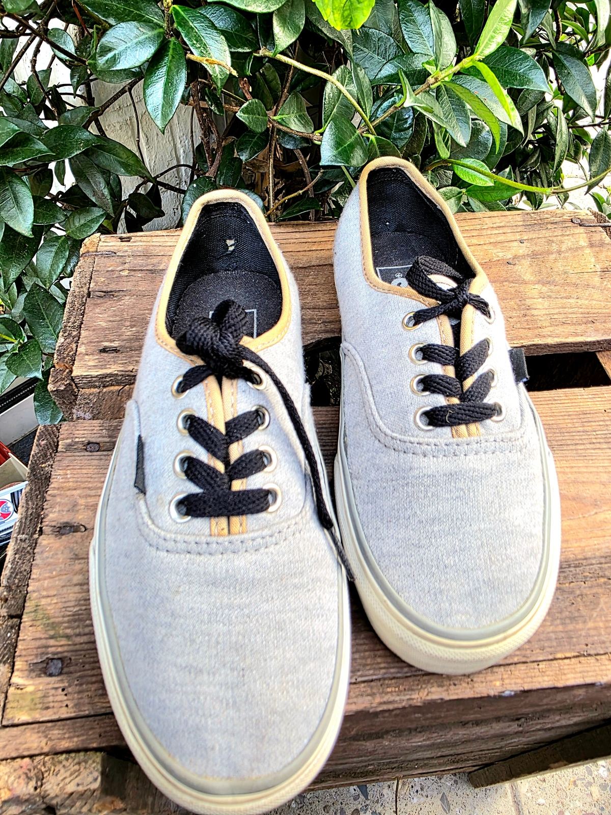 Vans Lace Up Shoes