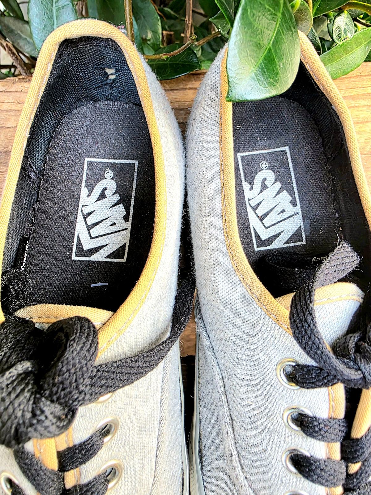 Vans Lace Up Shoes