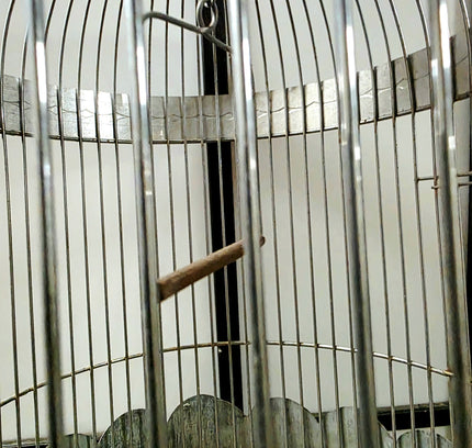 Cage