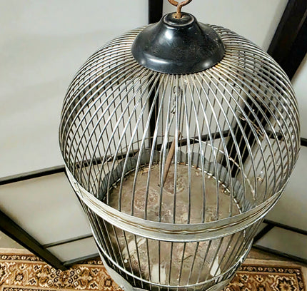 Cage