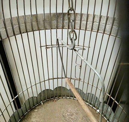 Cage