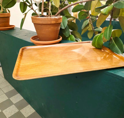 Tray