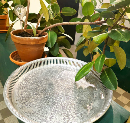 Tray