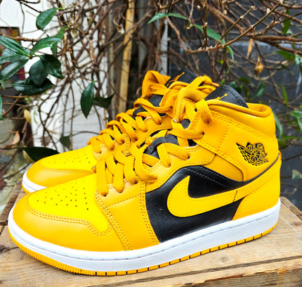 Trainers