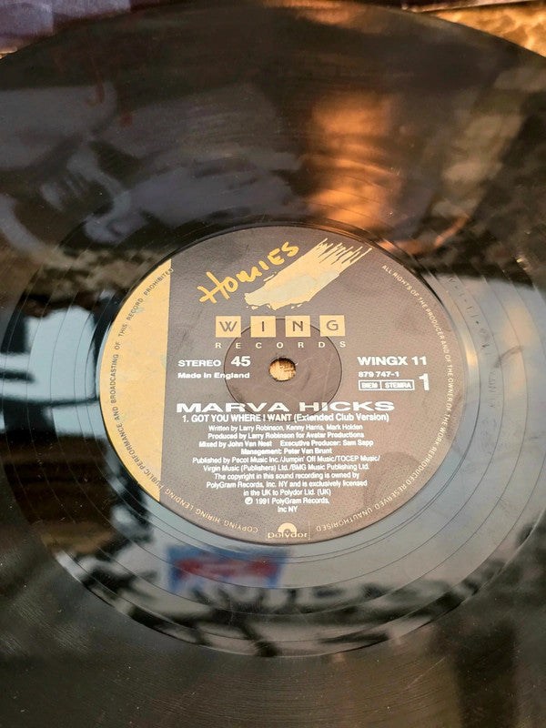 Marva Hicks – I Got You Where I Want Vinyl Record