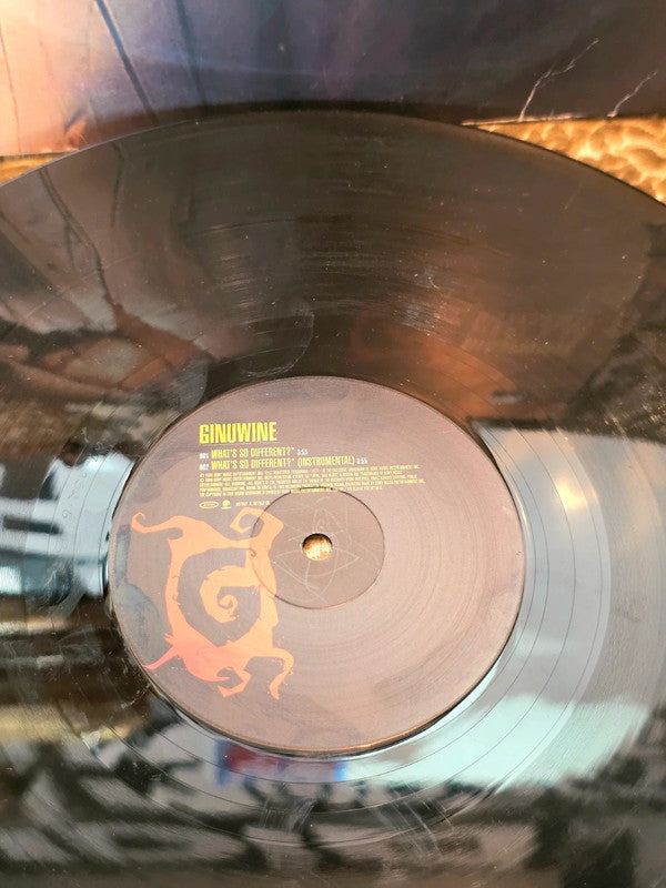 Ginuwine – What's So Different? Vinyl Record