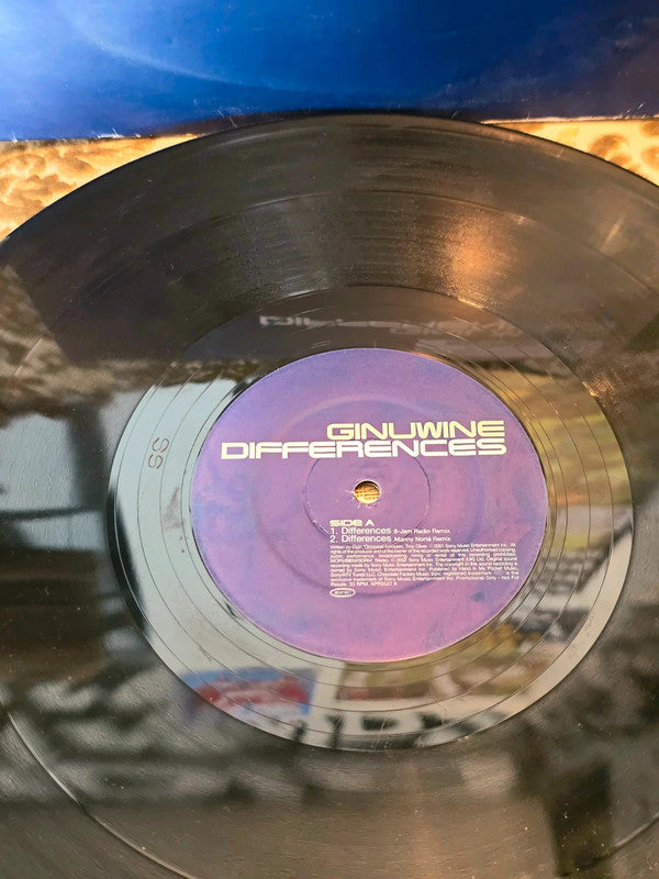 Ginuwine – Differences Vinyl Record