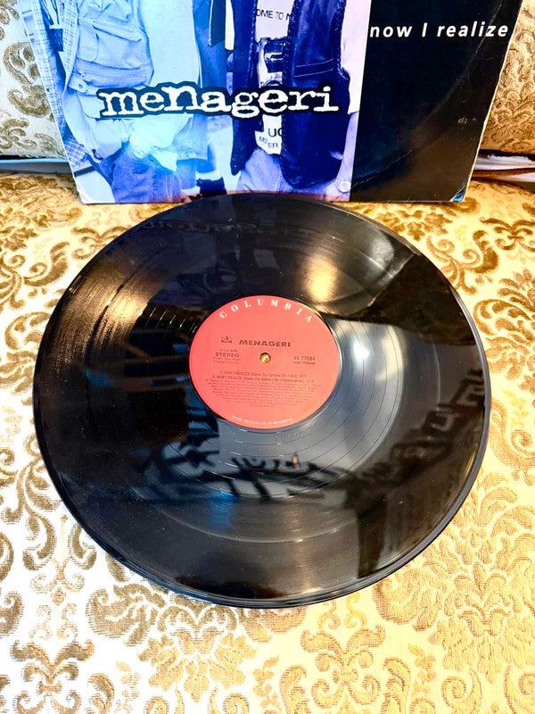 Menageri - All Day Every Day Vinyl