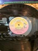 Father MC – Lisa Baby Vinyl Record