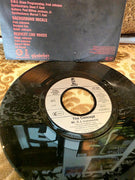 The Concept – Mr. D.J. Vinyl Record