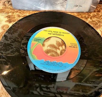 The Waterboys – A Girl Called Johnny Vinyl Record