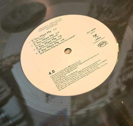 4.0 – If You Want Me Vinyl Record - Yatva