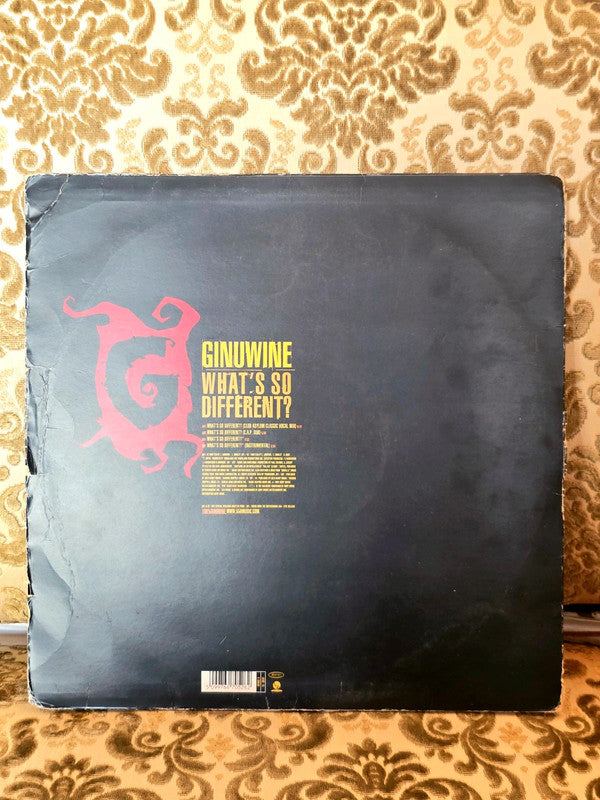 Ginuwine – What's So Different? Vinyl Record