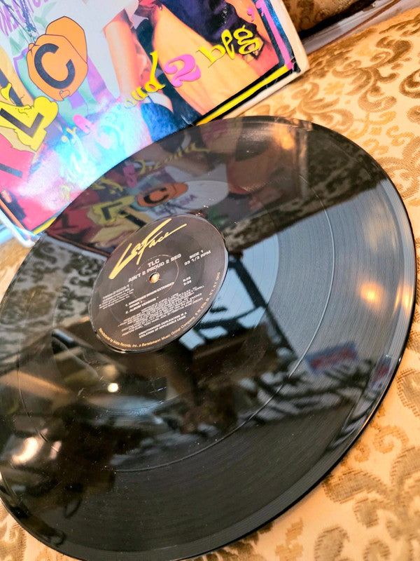 TLC – Ain't 2 Proud 2 Beg Vinyl Record