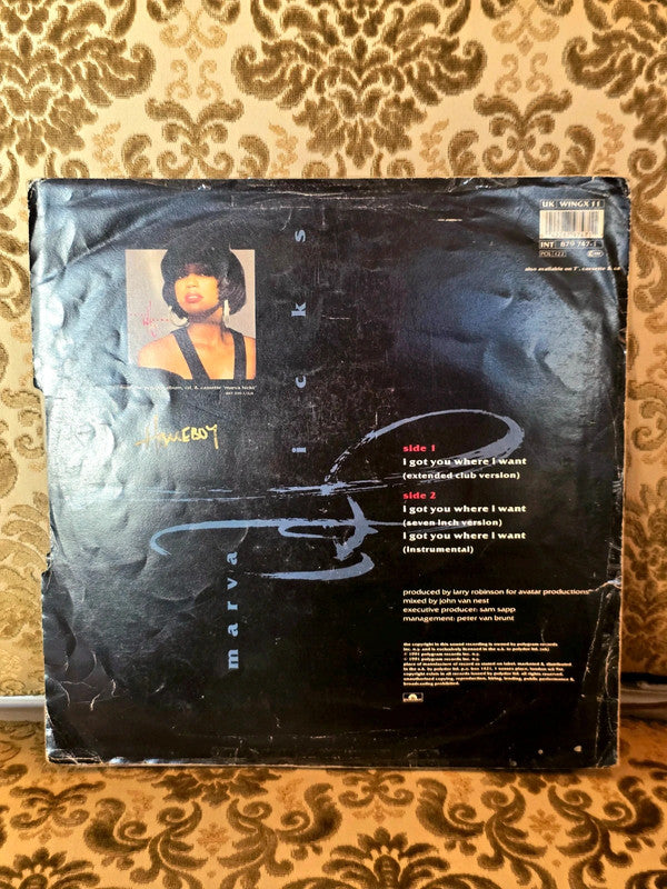 Marva Hicks – I Got You Where I Want Vinyl Record
