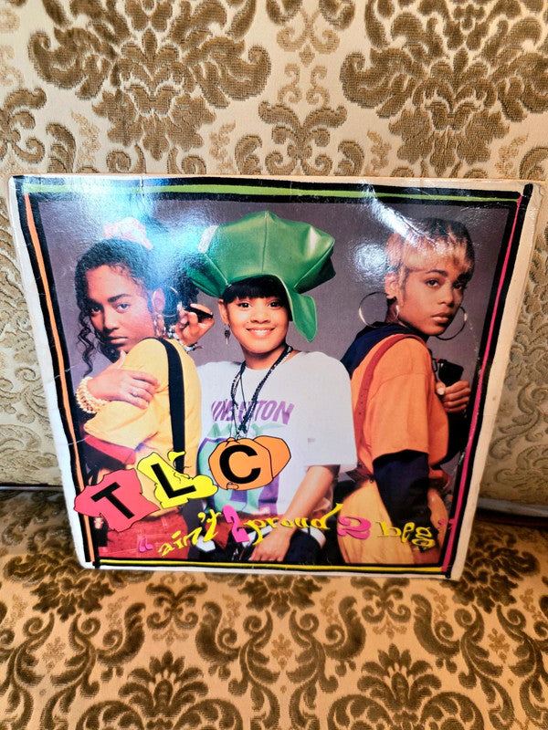 TLC – Ain't 2 Proud 2 Beg Vinyl Record