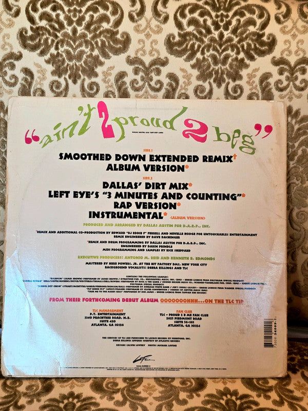TLC – Ain't 2 Proud 2 Beg Vinyl Record