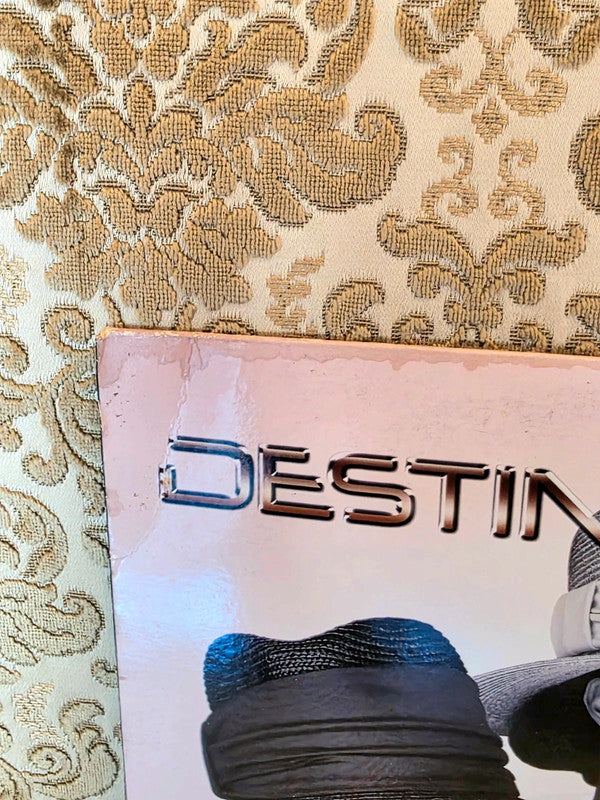 Destiny's Child – Lose My Breath Vinyl Record
