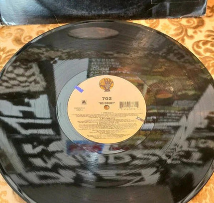 702 – No Doubt Vinyl Record - Yatva
