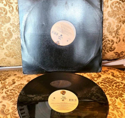702 – No Doubt Vinyl Record - Yatva