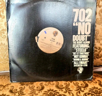 702 – No Doubt Vinyl Record - Yatva