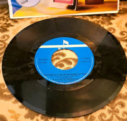A Flock Of Seagulls – Wishing (If I Had A Photograph Of You) Vinyl Record - Yatva