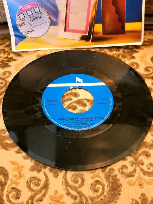 A Flock Of Seagulls – Wishing (If I Had A Photograph Of You) Vinyl Record - Yatva