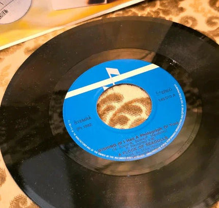 A Flock Of Seagulls – Wishing (If I Had A Photograph Of You) Vinyl Record - Yatva