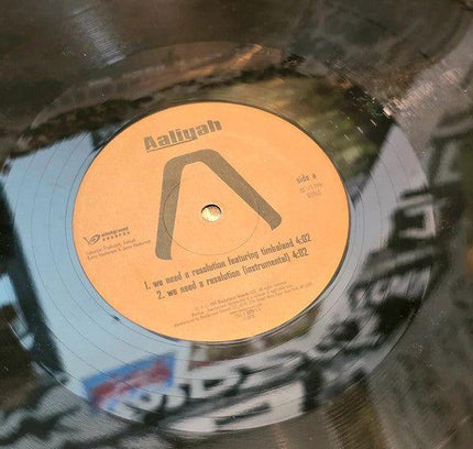 Aaliyah – We Need A Resolution Vinyl Record - Yatva